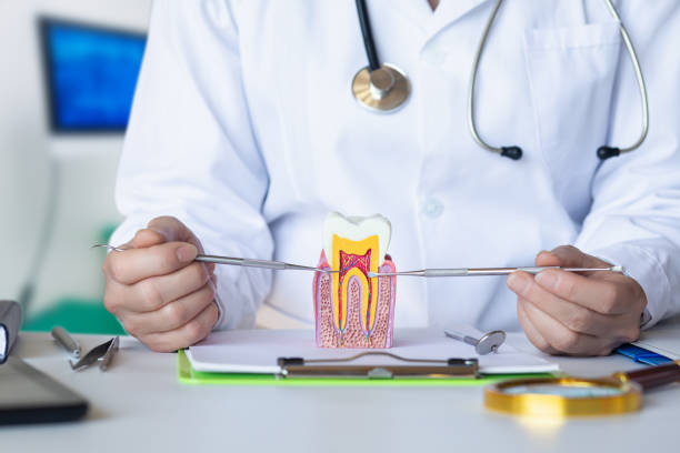 Best Emergency Cosmetic Dentistry in Ramseur, NC